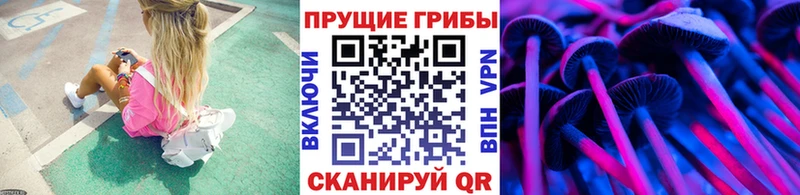 Псилоцибиновые грибы Cubensis  купить закладку  Приморск 